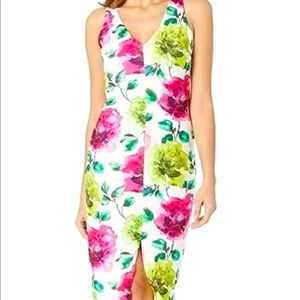 Alexia Admor Floral Dress